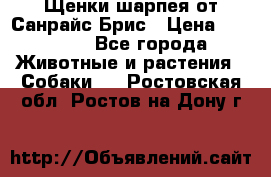 Щенки шарпея от Санрайс Брис › Цена ­ 30 000 - Все города Животные и растения » Собаки   . Ростовская обл.,Ростов-на-Дону г.